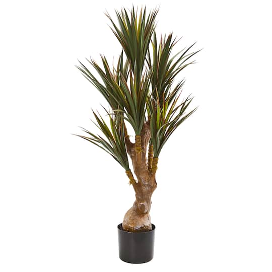 4ft. Potted Yucca Tree